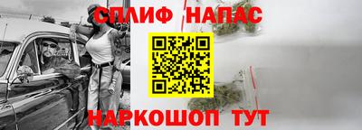 прущие грибы Абакан