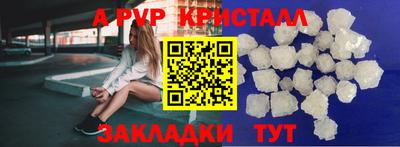 прущие грибы Абакан